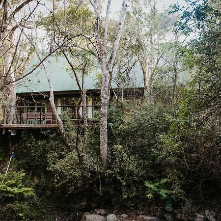 Rockwood Karkloof Forest Lodge & Mountain Cabin Karkloof Nature Reserve Luaran gambar