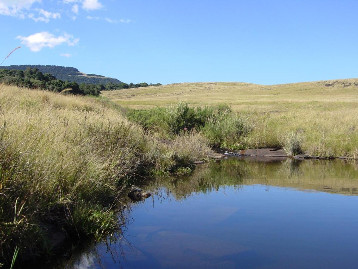 Rockwood Karkloof Forest Lodge & Mountain Cabin Karkloof Nature Reserve Luaran gambar