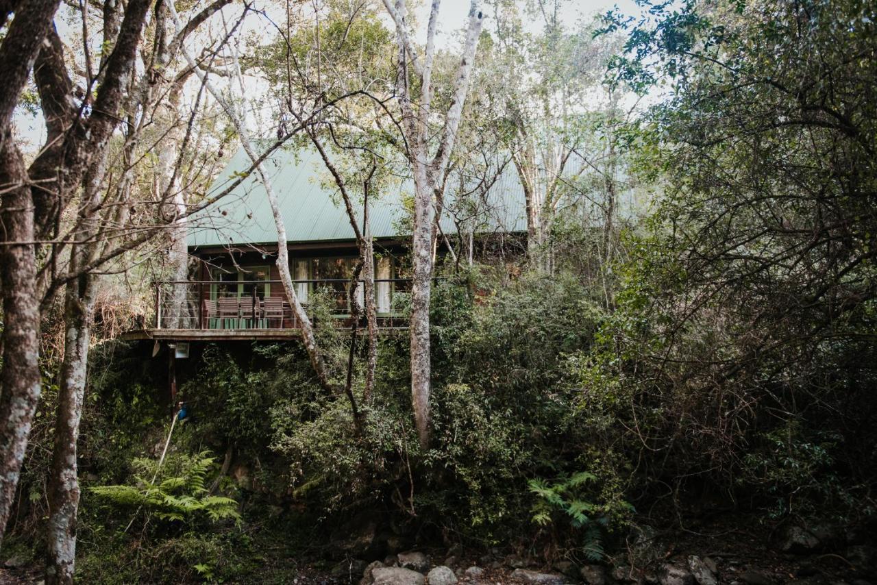 Rockwood Karkloof Forest Lodge & Mountain Cabin Karkloof Nature Reserve Luaran gambar