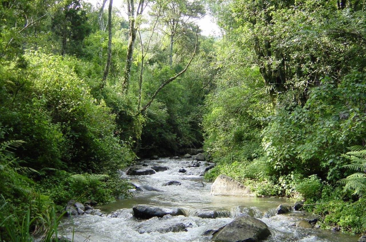 Rockwood Karkloof Forest Lodge & Mountain Cabin Karkloof Nature Reserve Luaran gambar