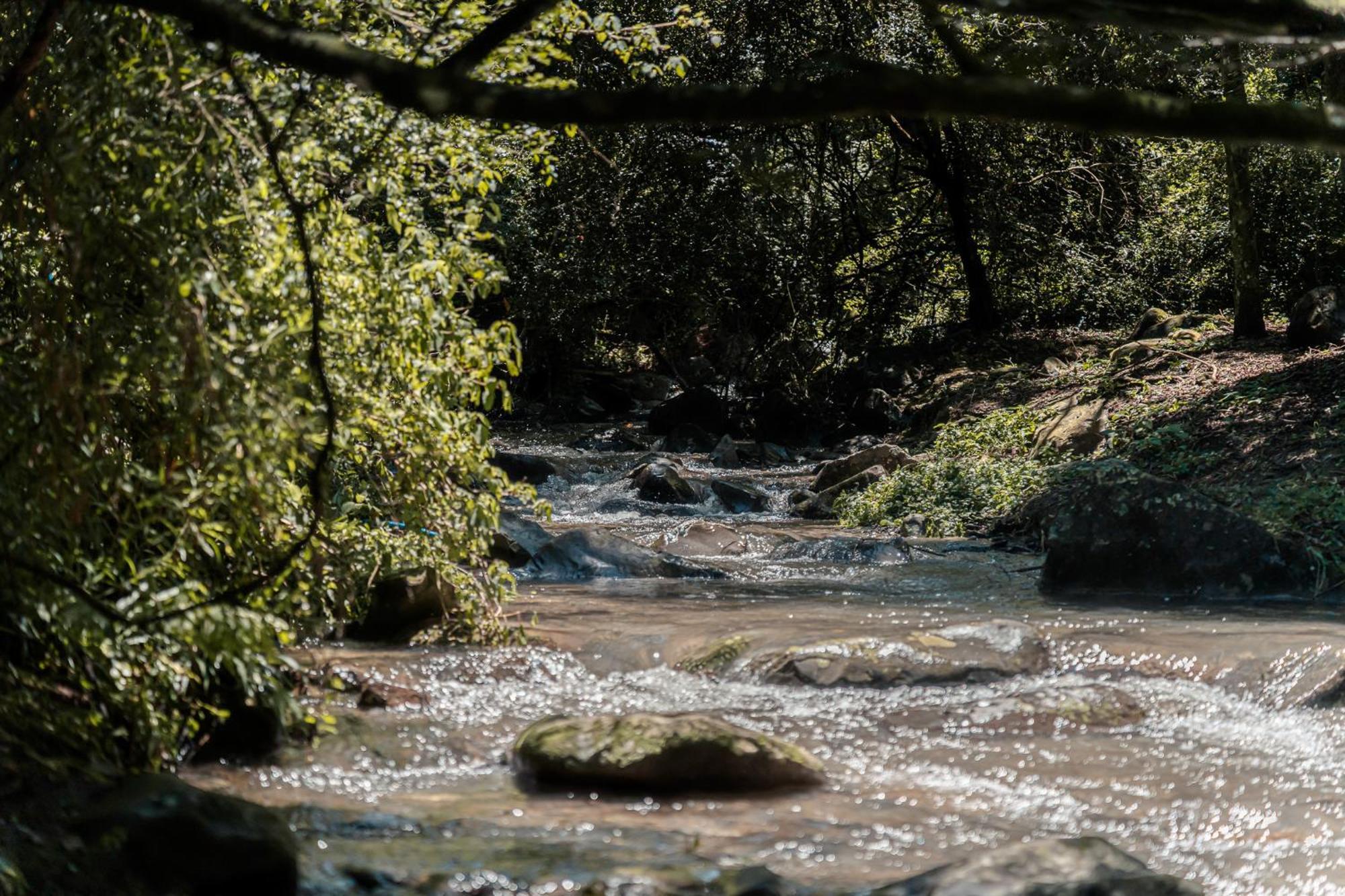 Rockwood Karkloof Forest Lodge & Mountain Cabin Karkloof Nature Reserve Luaran gambar